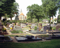 Blick auf den Wolfhager Friedhof