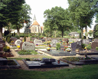 Friedhof